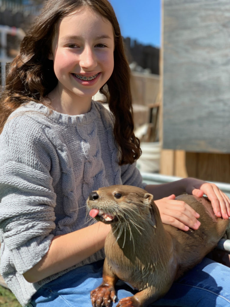 Otter Encounter