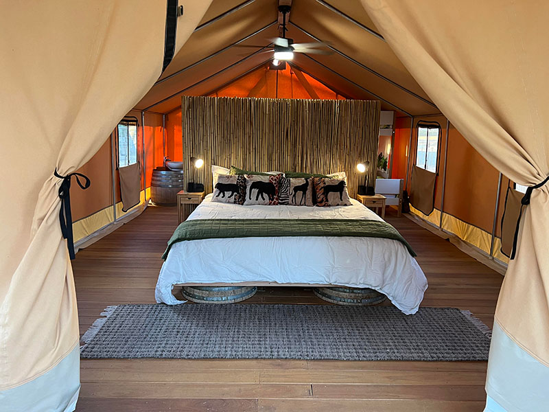 Inside Safari Tent - King Bed