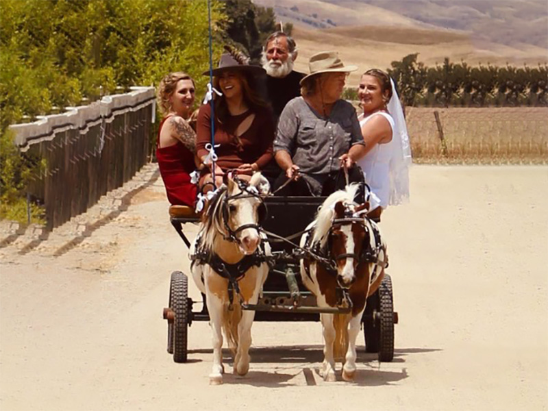 Wedding Carriage Ride at Conservation Ambassadors