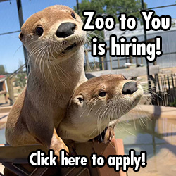 Zoo to You is Hiring - Click here to apply!