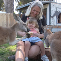 Kangaroo Encounter