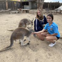 Kangaroo Encounter