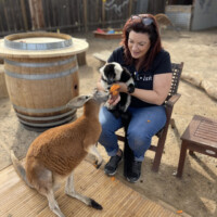 Kangaroo and Lemur Encounter