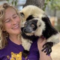 Bacari the black and white lemur