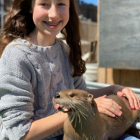 Otter Encounter
