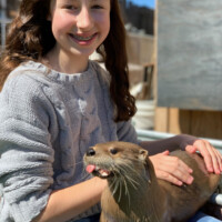 Otter Encounter