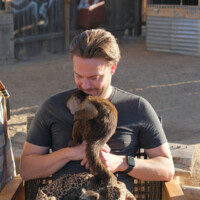 Animal Encounter - Capuchin