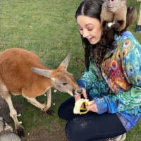 Kangaroo and Monkey Banana Encounter