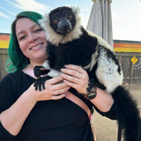 Black and white ruffed lemur