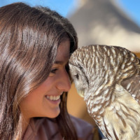 Making a connection with owl